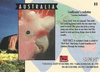 1993 Cardz The World Famous San Diego Zoo Animals of the Wild #80 Leadbeater's cockatoo Back