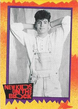 1989 Topps New Kids on the Block #48 Did You Know... Front