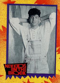 1989 Topps New Kids on the Block #48 Did You Know... Front