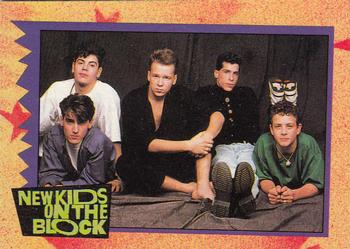 1989 Topps New Kids on the Block #68 Did You Know... Front