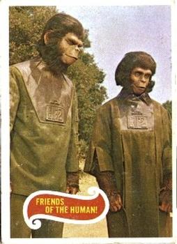 1969 Topps Planet of the Apes #41 Friends of the Human! Front