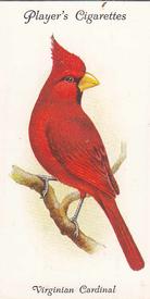 1933 Player's Aviary and Cage Birds #41 Virginian Cardinal Front