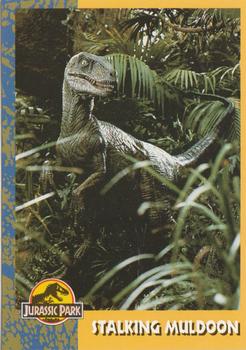 1993 Topps Jurassic Park #54 Stalking Muldoon Front