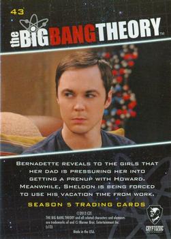 2013 Cryptozoic The Big Bang Theory Season 5 #43 My Special Day Back
