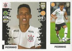 2019 Panini FIFA 365 (Grey Back) #330 Pedrinho Front
