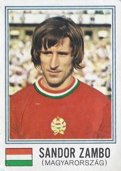 1974 Panini FIFA World Cup Munich Stickers #389 Sandor Zambo Front