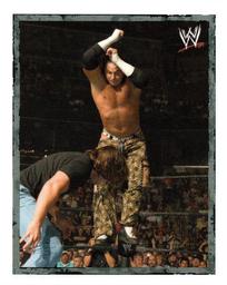 2008 Merlin WWE Heroes Stickers #90 Matt Hardy Front