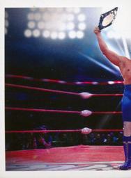 2016 Panini AAA Lucha Libre Worldwide Album Stickers #34 Blue Demon Jr. Front