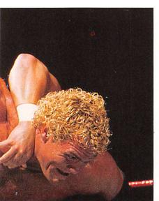 1997 Panini WWF Superstars Stickers #33 Psycho Sid / British Bulldog Front