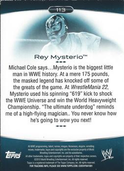 2010 Topps Platinum WWE - Rainbow #113 Rey Mysterio  Back