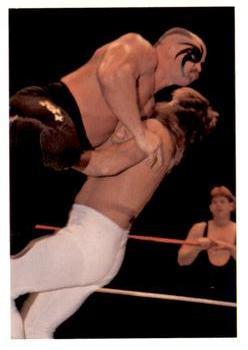 1988 Wonderama NWA #159 Road Warrior Hawk Front