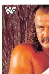 1991 WWF Superstars Stickers #138 Jake The Snake Roberts Front